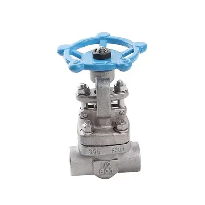 Injap pintu keluli palsu